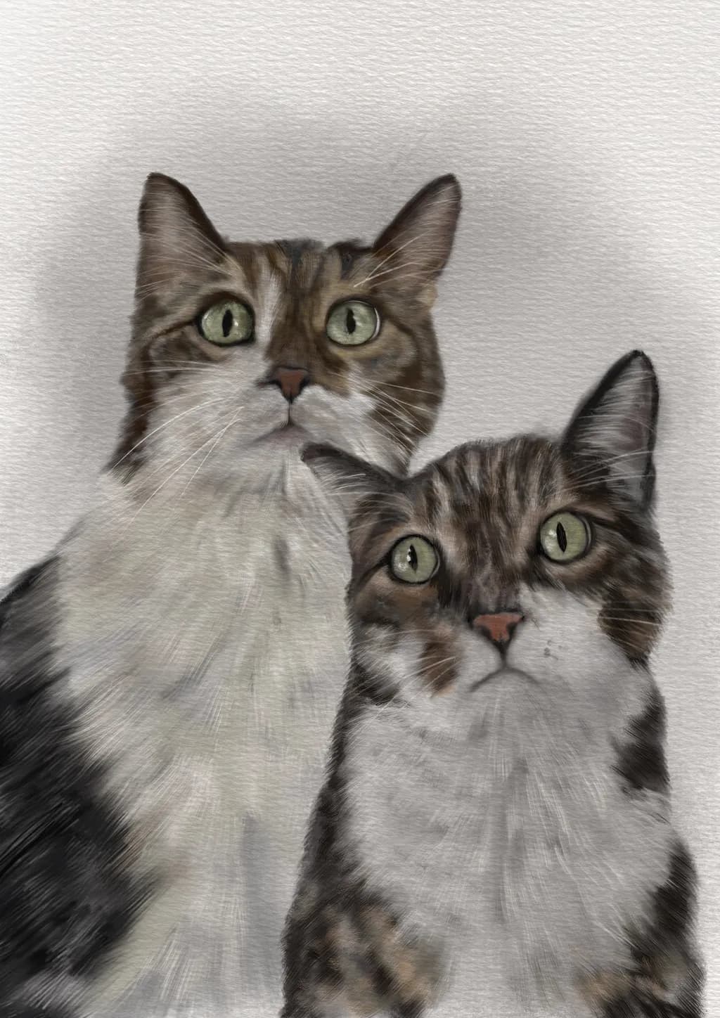 Whisker Wonders: A Playful Portrait of Curious Cats
