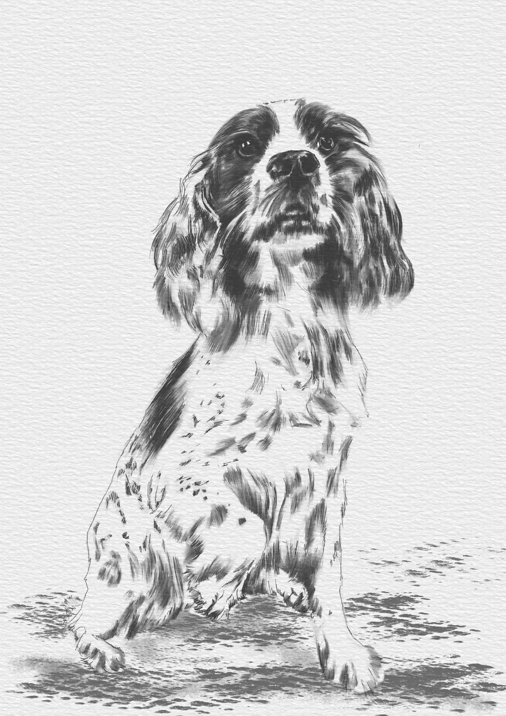 Whiskers and Wags: A Playful Portrait of Pawsitive Vibes