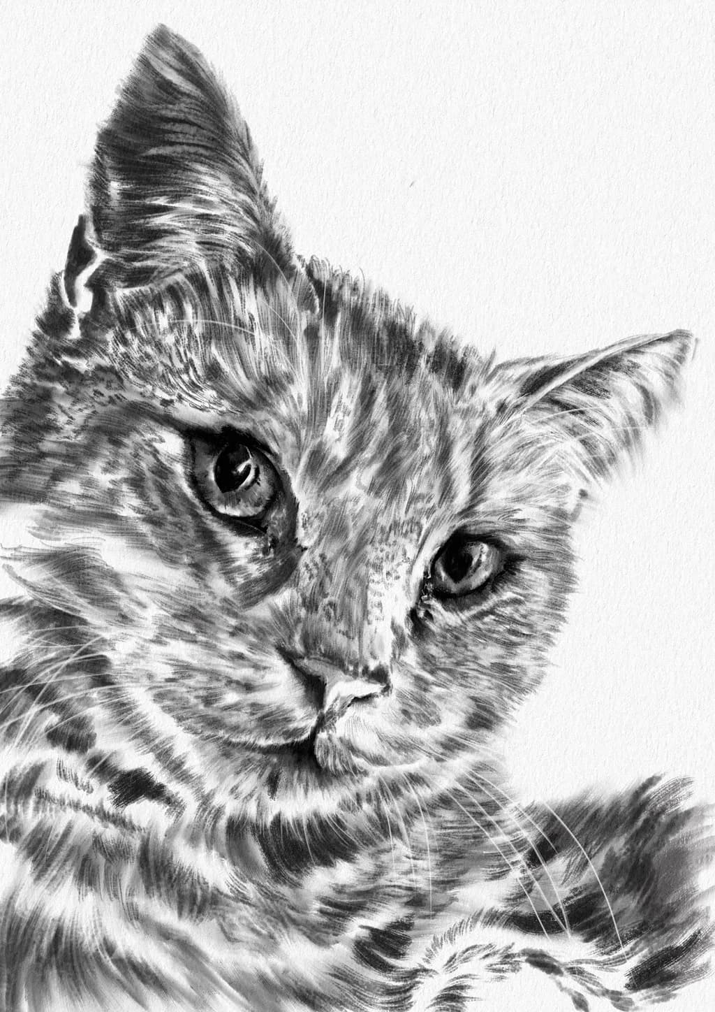 Whiskers of Wisdom: A Playful Portrait of Purrfection