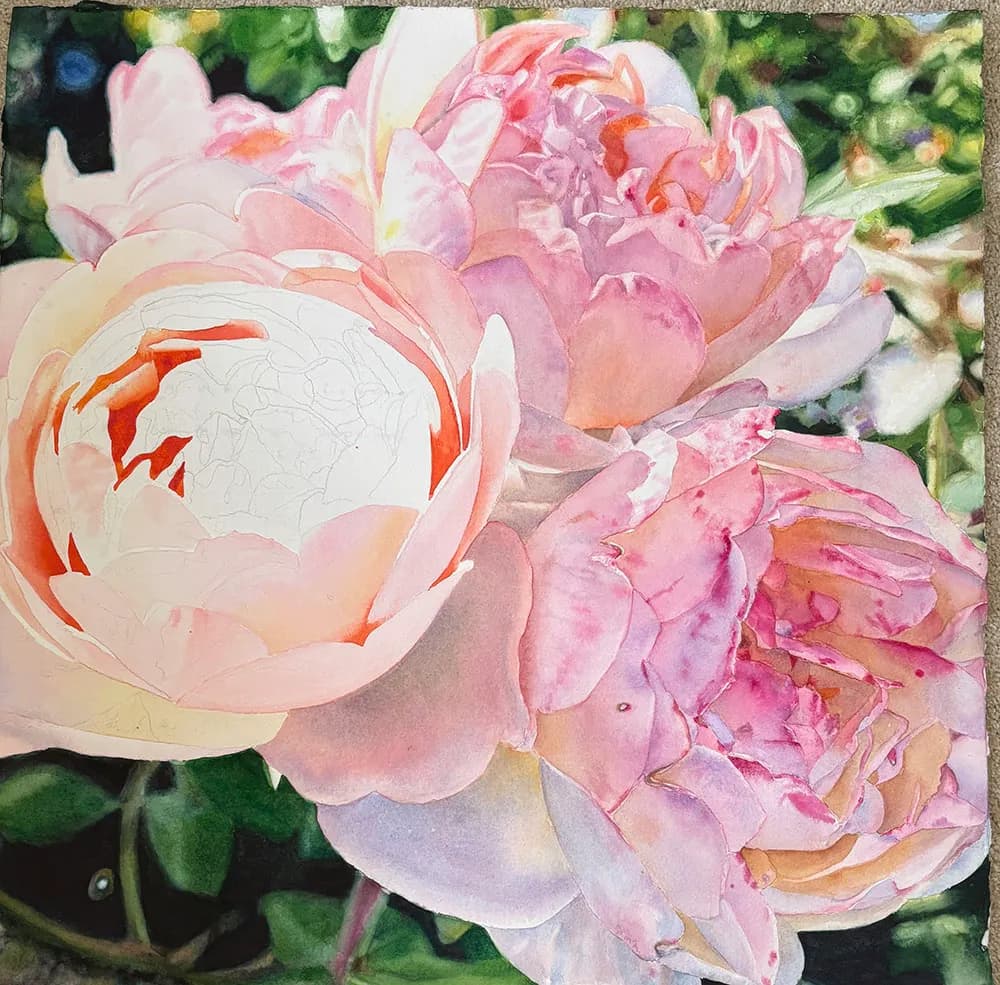 Whispers of Spring: A Delicate Dance of Peonies in Bloom