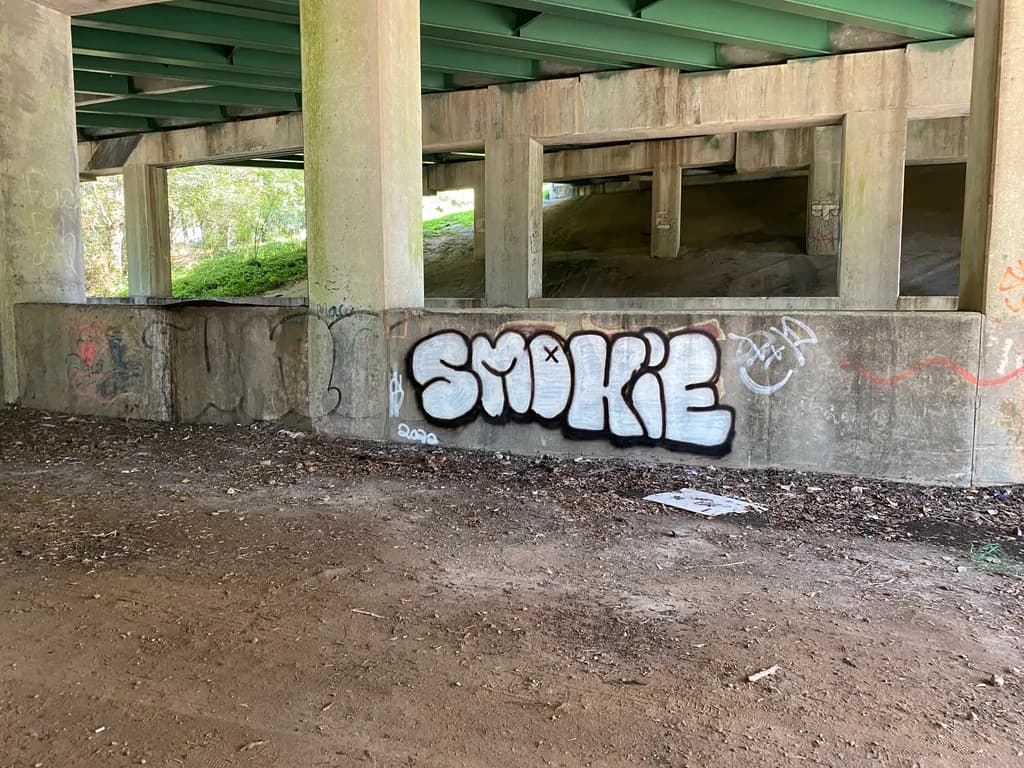 Urban Whispers: The Graffiti Chronicles Beneath the Concrete Canopy