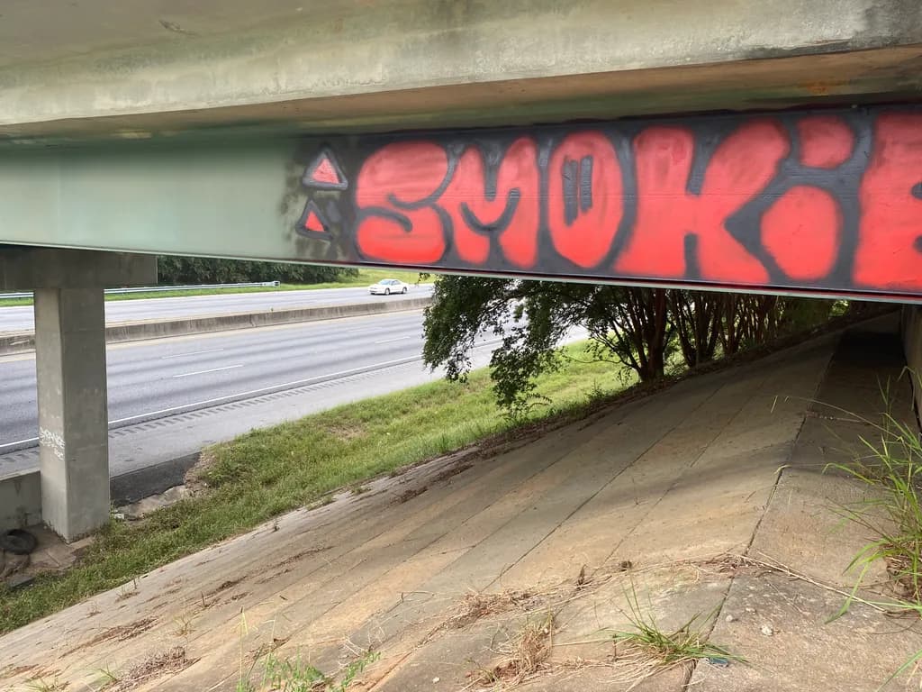 Urban Whispers: The Hidden Story Beneath the Overpass