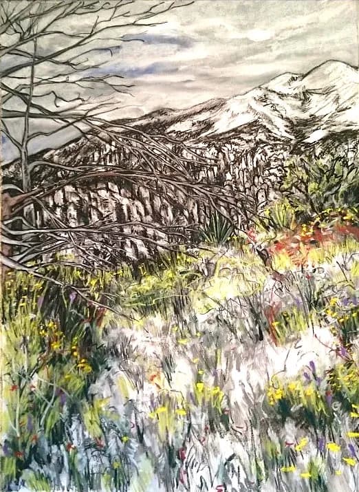 Whispers of Nature: A Serene Mountain Landscape in Bloom