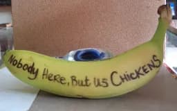 Nobody Here, But Us Chickens