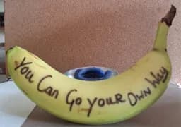You Can Go Your Own Way