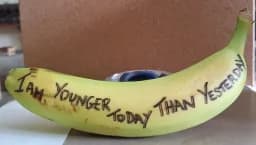 Younger Than Yesterday
