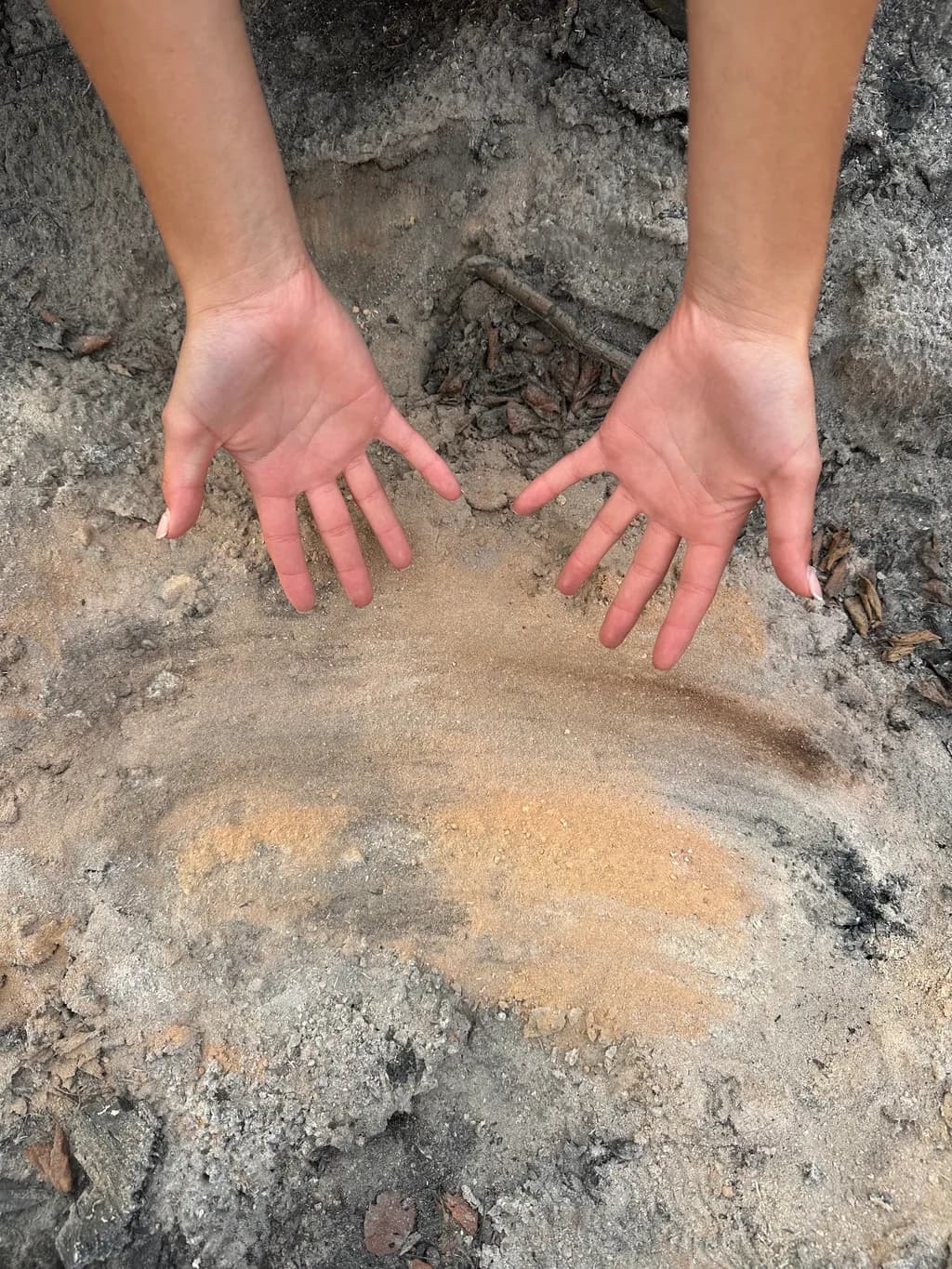 "Embracing Nature: Hands in the Earth’s Embrace"
