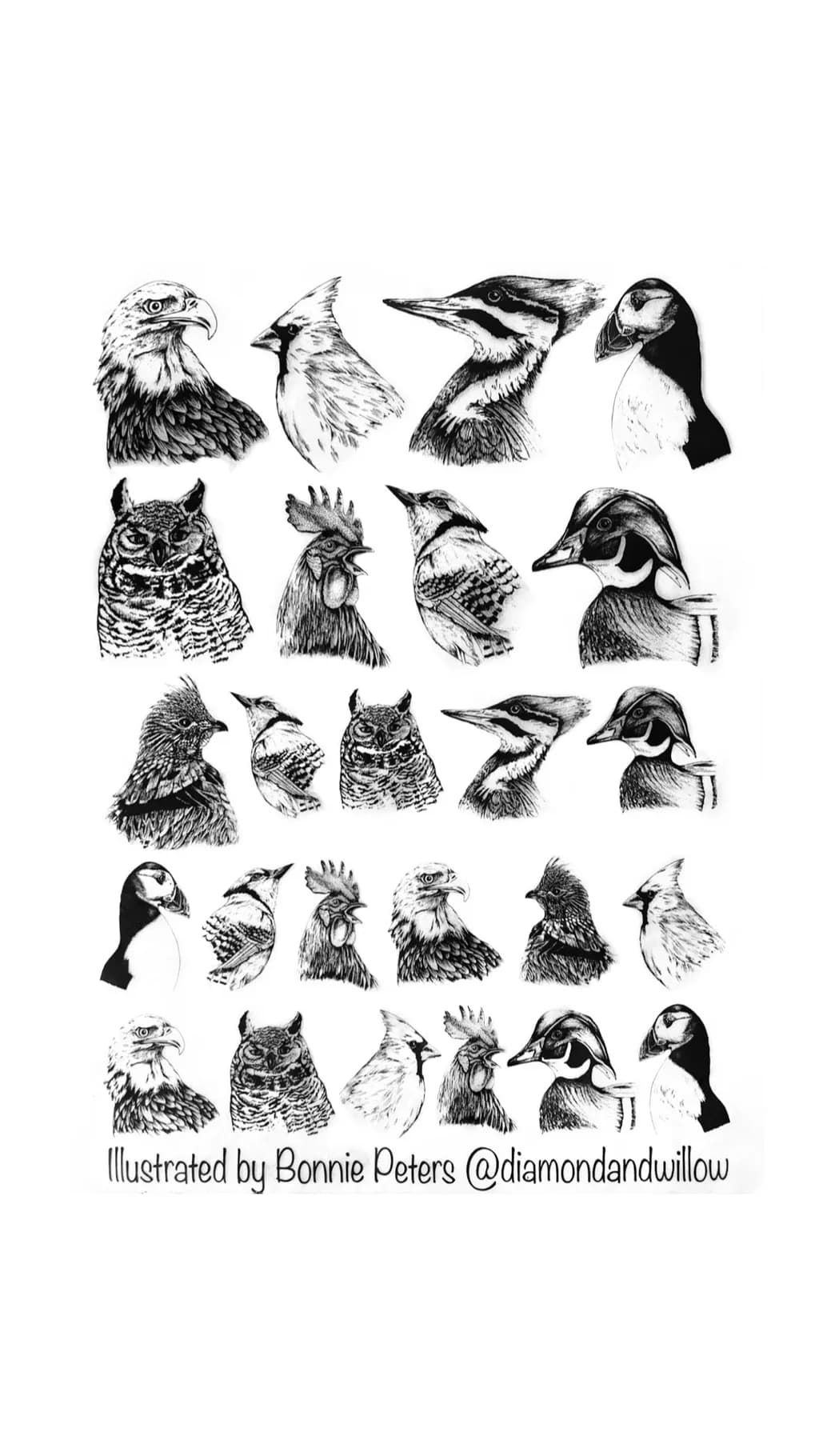 "Whispers of the Wild: A Celebration of Feathered Friends"