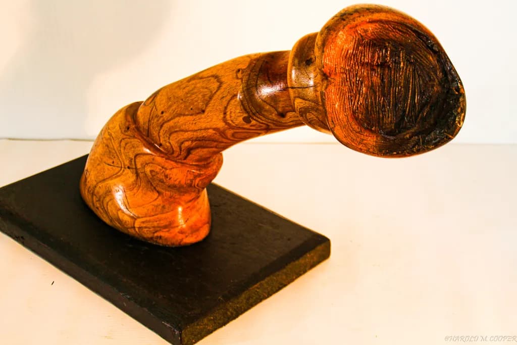 Abstract Wood Form