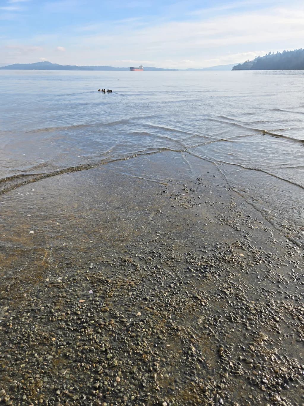 Calm Shoreline View