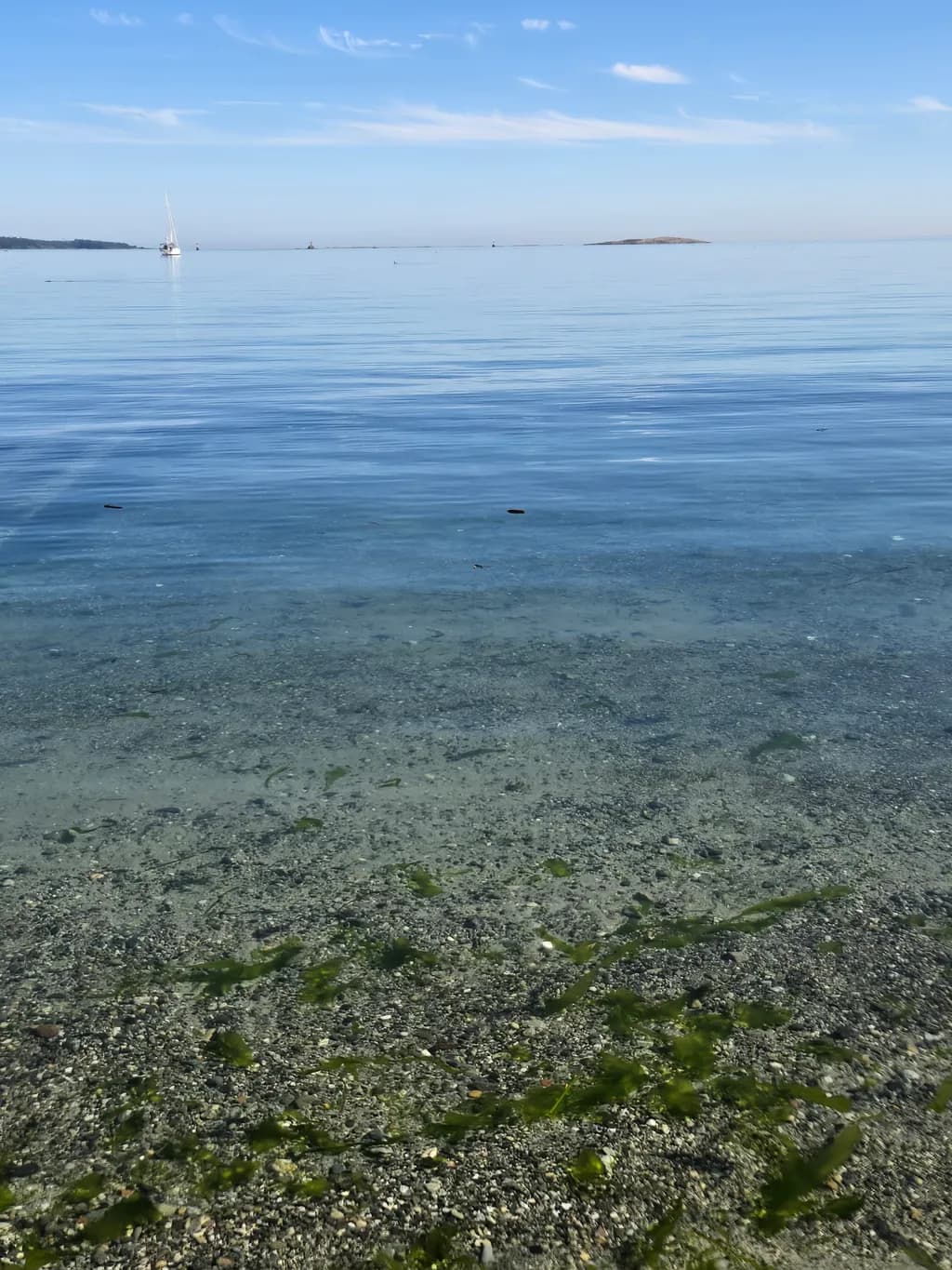 Clear Shoreline Calm
