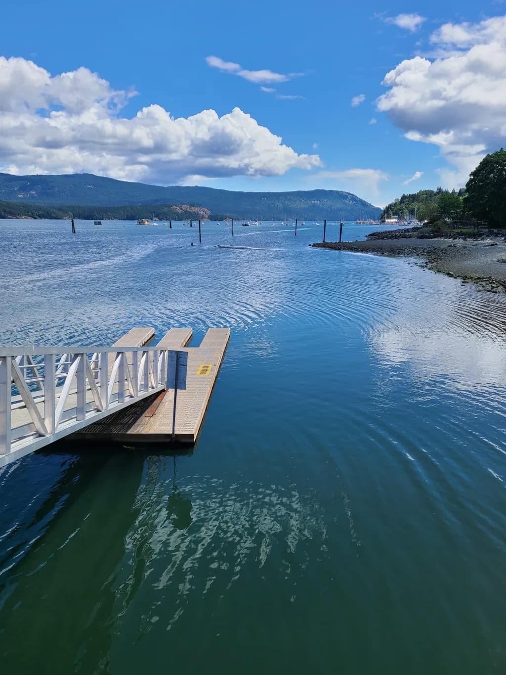 Lake Dock and Mountains