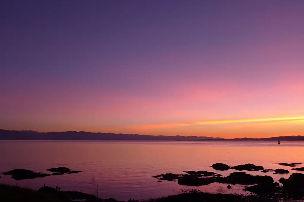 Twilight Silhouettes