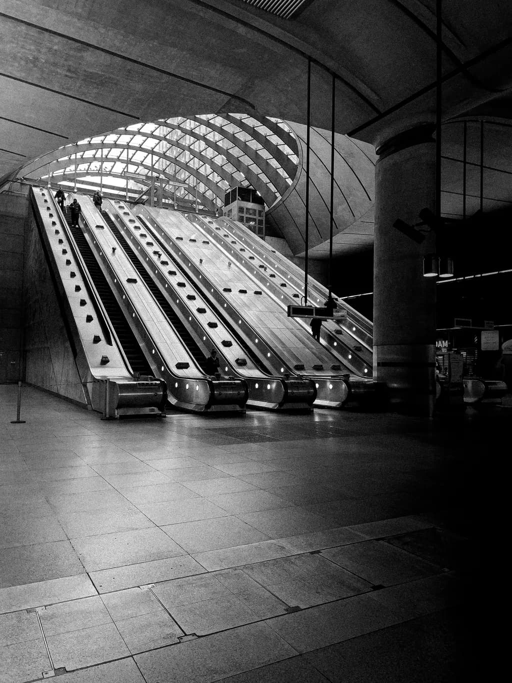 Urban Ascendancy: A Monochrome Journey Through Modern Architecture