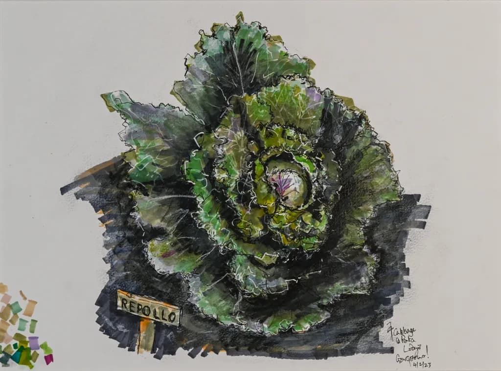The Cabbage: Nature’s Green Masterpiece