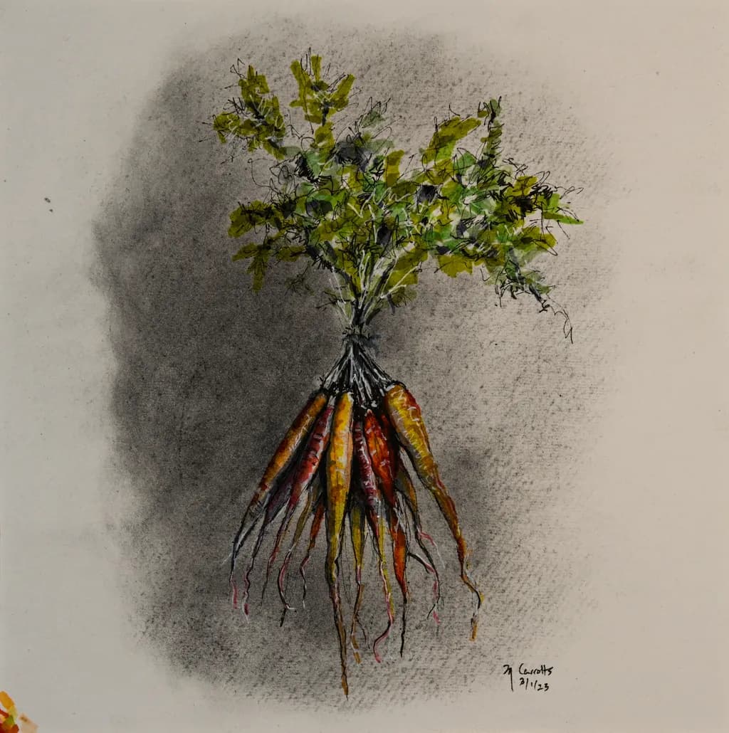 Harvested Dreams: An Organic Sketch of Carrots