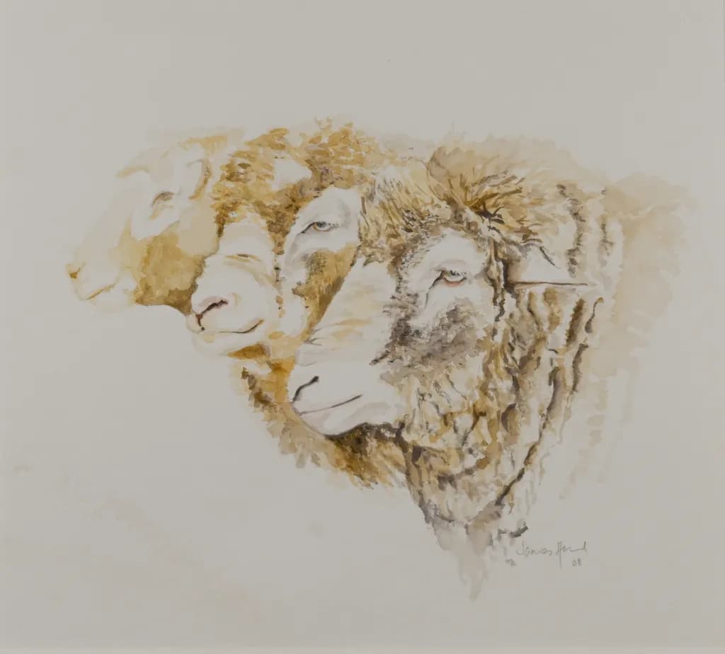 Three Gentle Sheep: An Exploration