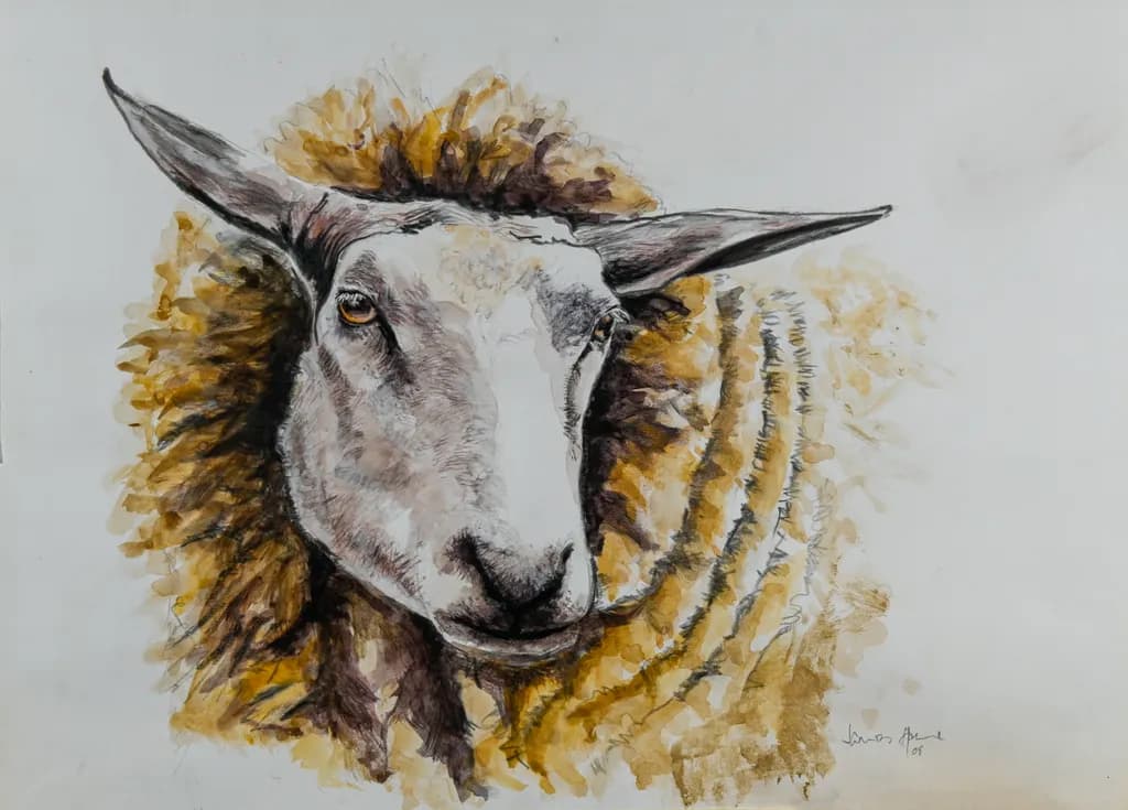 Gentle Gaze: Watercolour Portrait of a Sheep