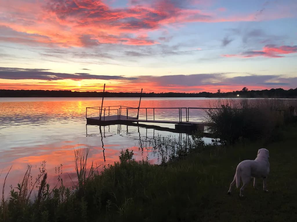 Serene Sunset Reflections: A Tranquil Evening by the Water with a Loyal Companion