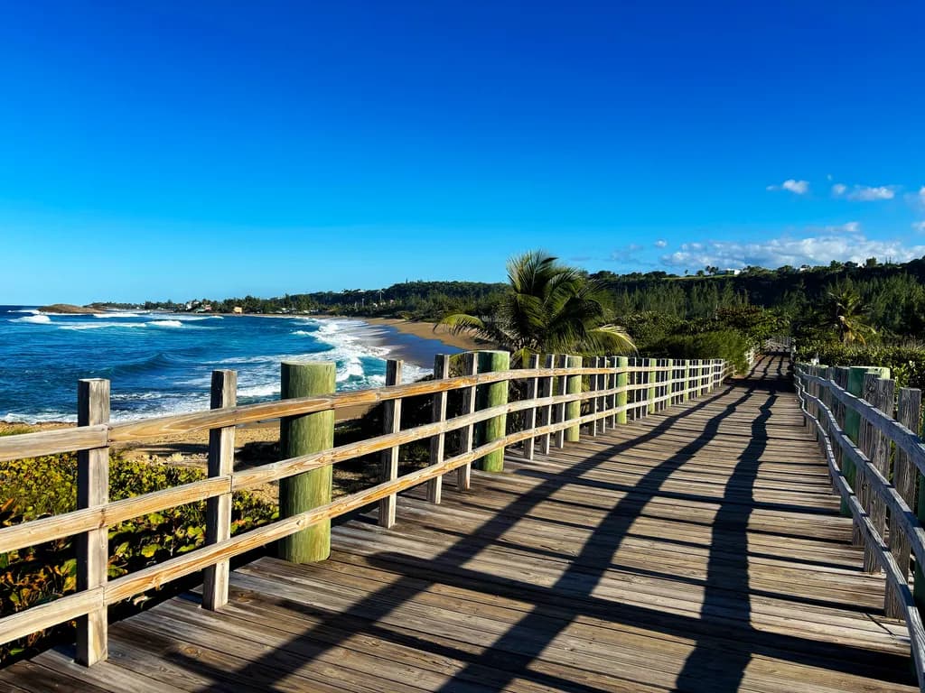 Coastal Pathways- Beach Boardwalk Art