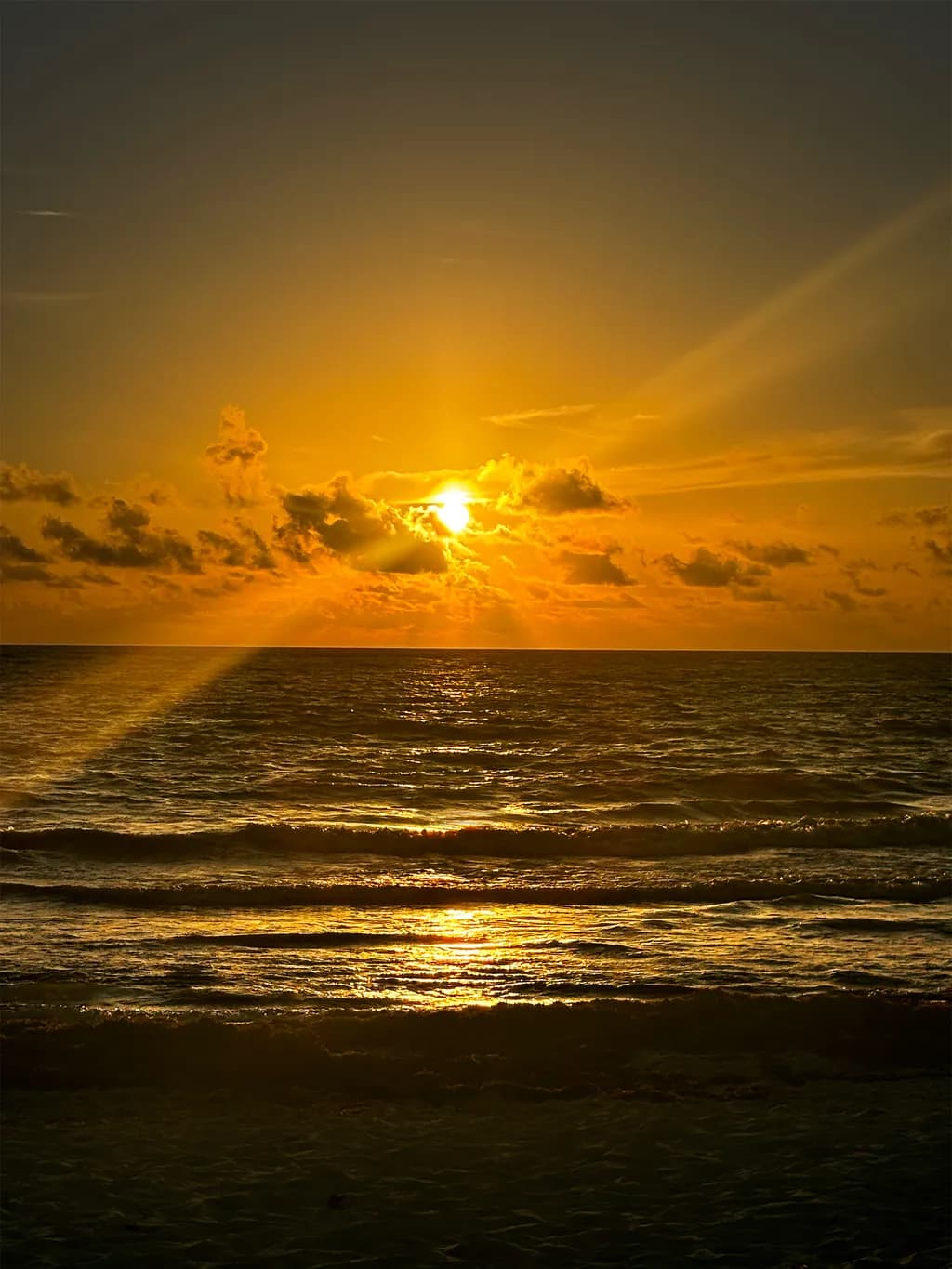 Golden Horizon Sunset