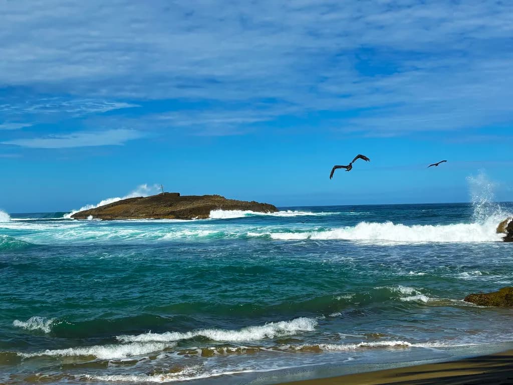 Coastal Serenade