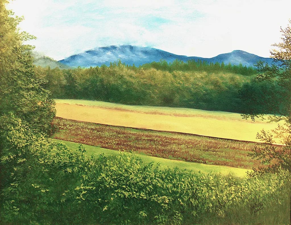 Potato Farm in Bethel, Maine