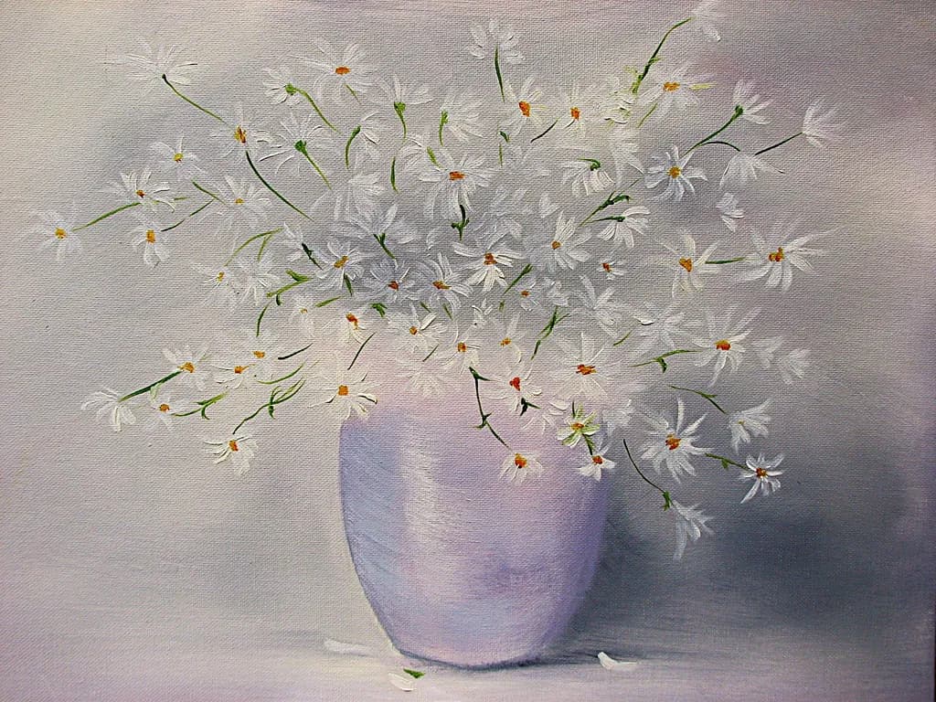 Daisies