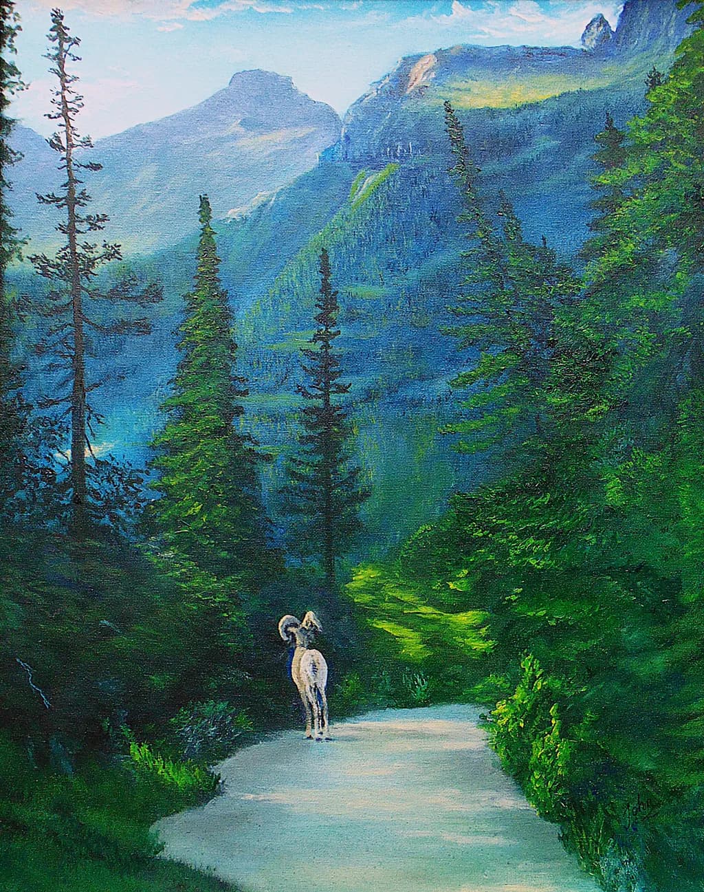Whispers of the Wilderness: A Serene Journey Through Mountain Trails