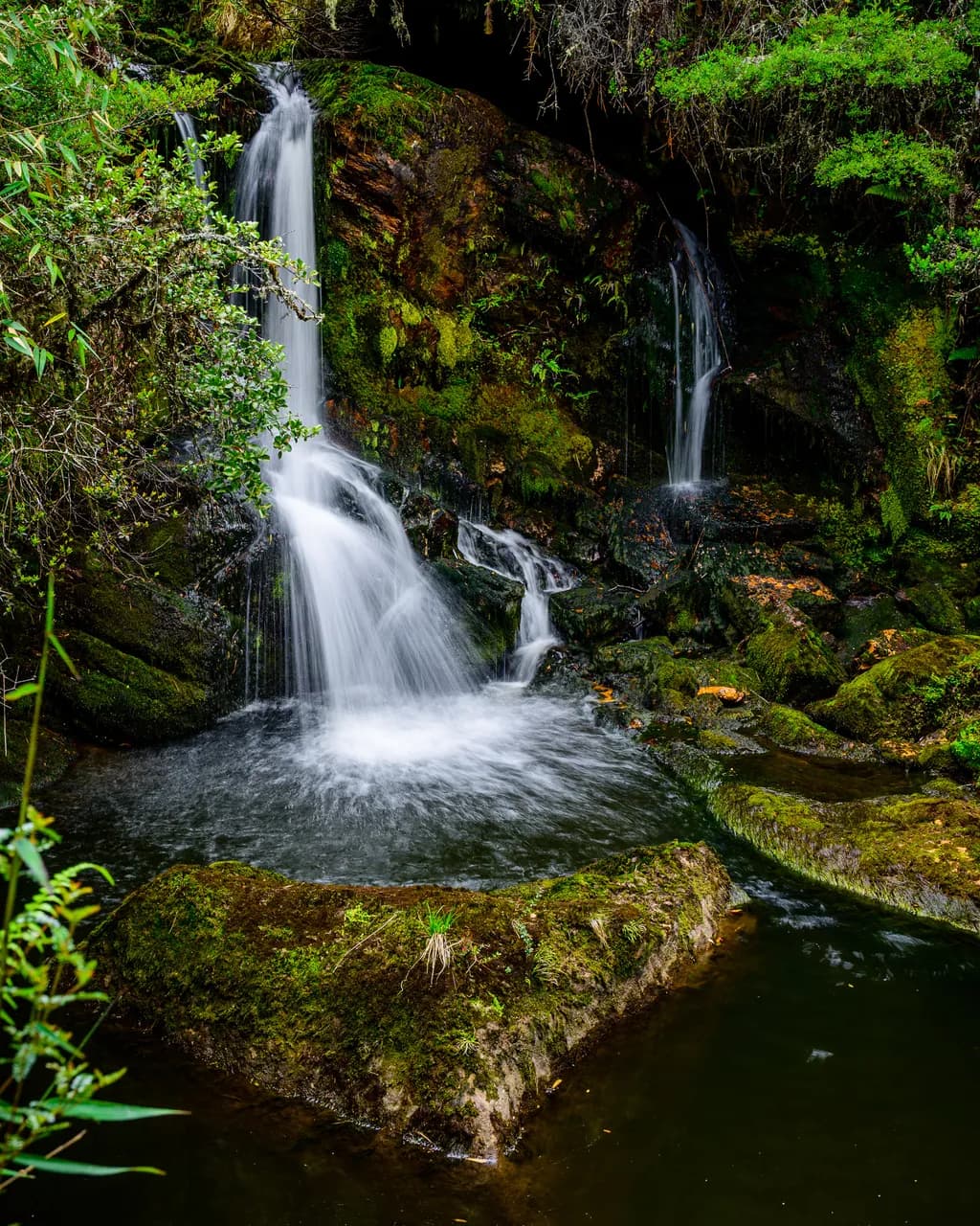 Whispers of Serenity: A Tranquil Waterfall in the Heart of the Forest