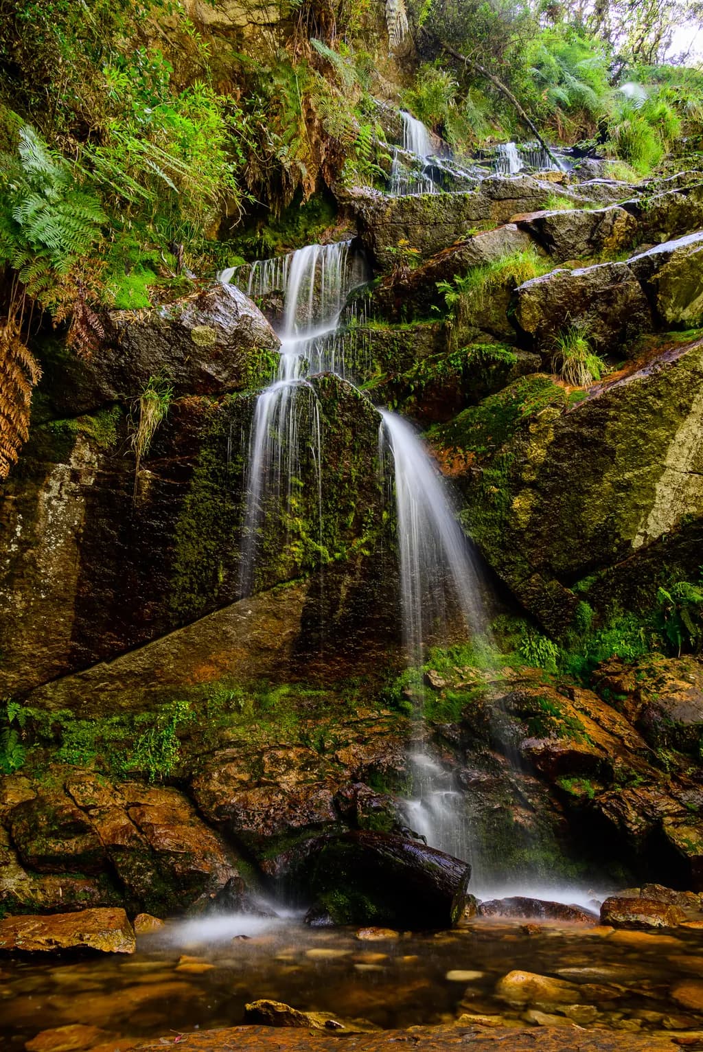 Whispers of the Waterfall: A Serene Cascade Amidst Lush Greenery