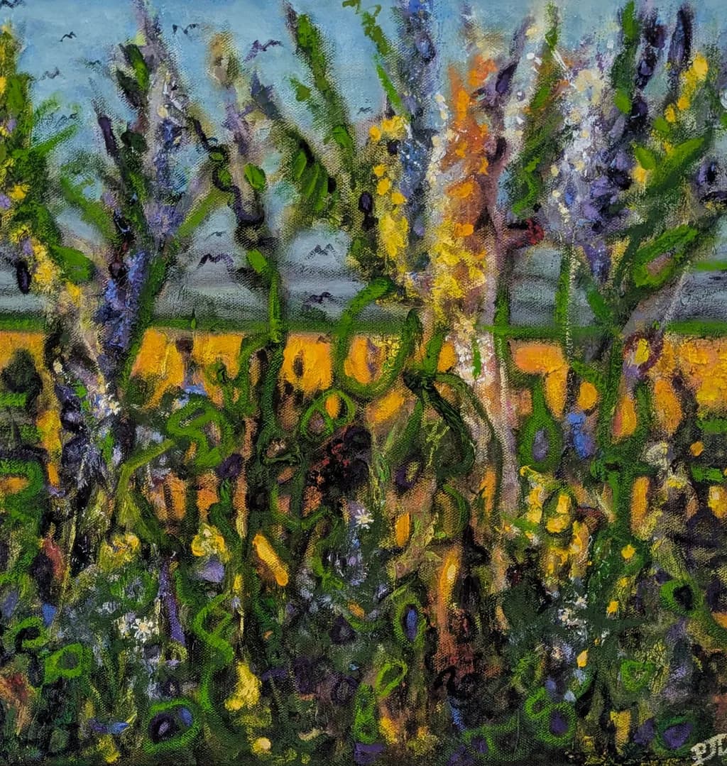 Field of Flowers