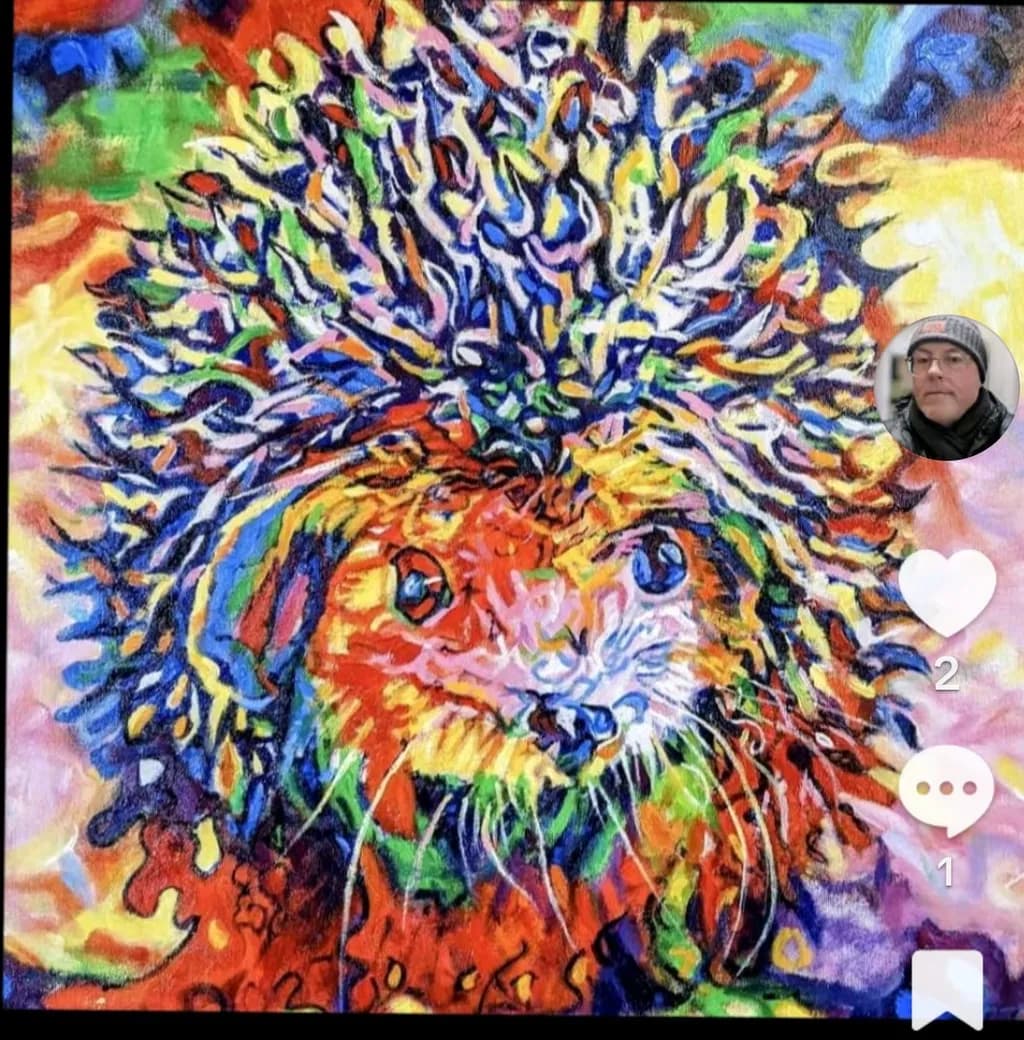 Kaleidoscope Porcupine