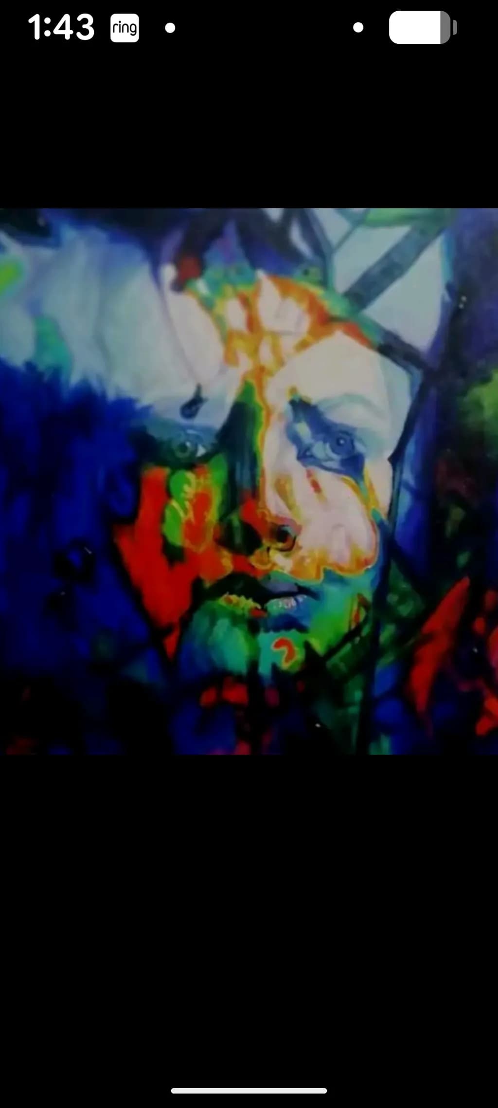 Fragmented Visage