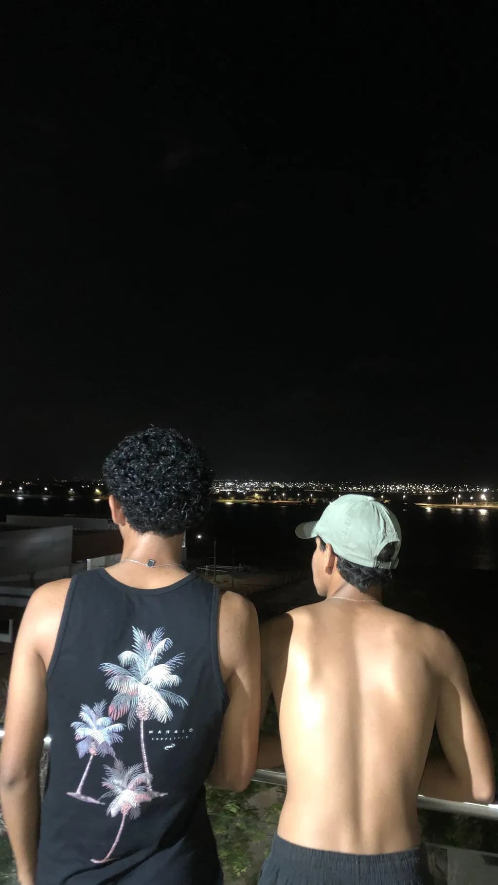 Nighttime Reflections: Two Friends Gazing at the City Lights