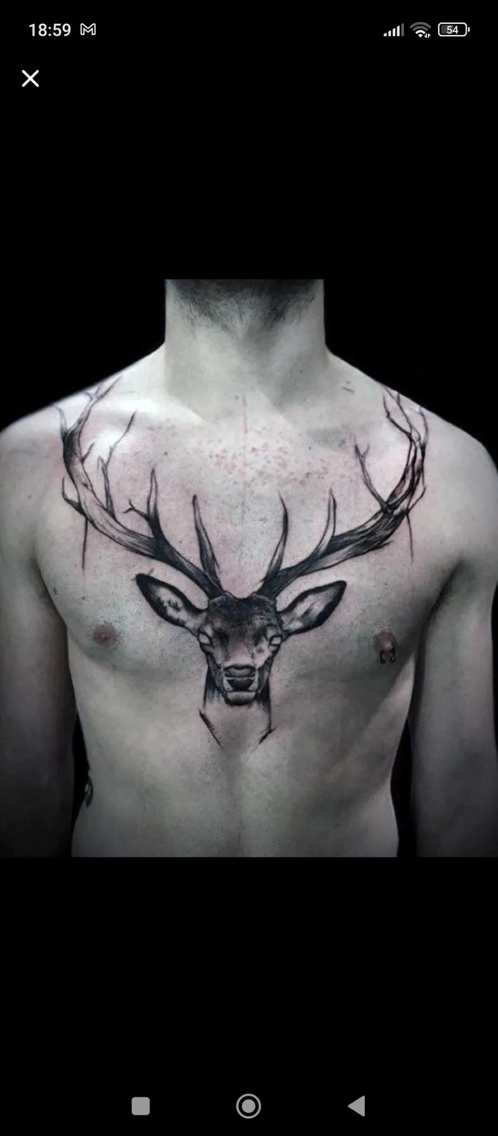 Majestic Stag: A Bold Expression of Nature's Spirit in Ink
