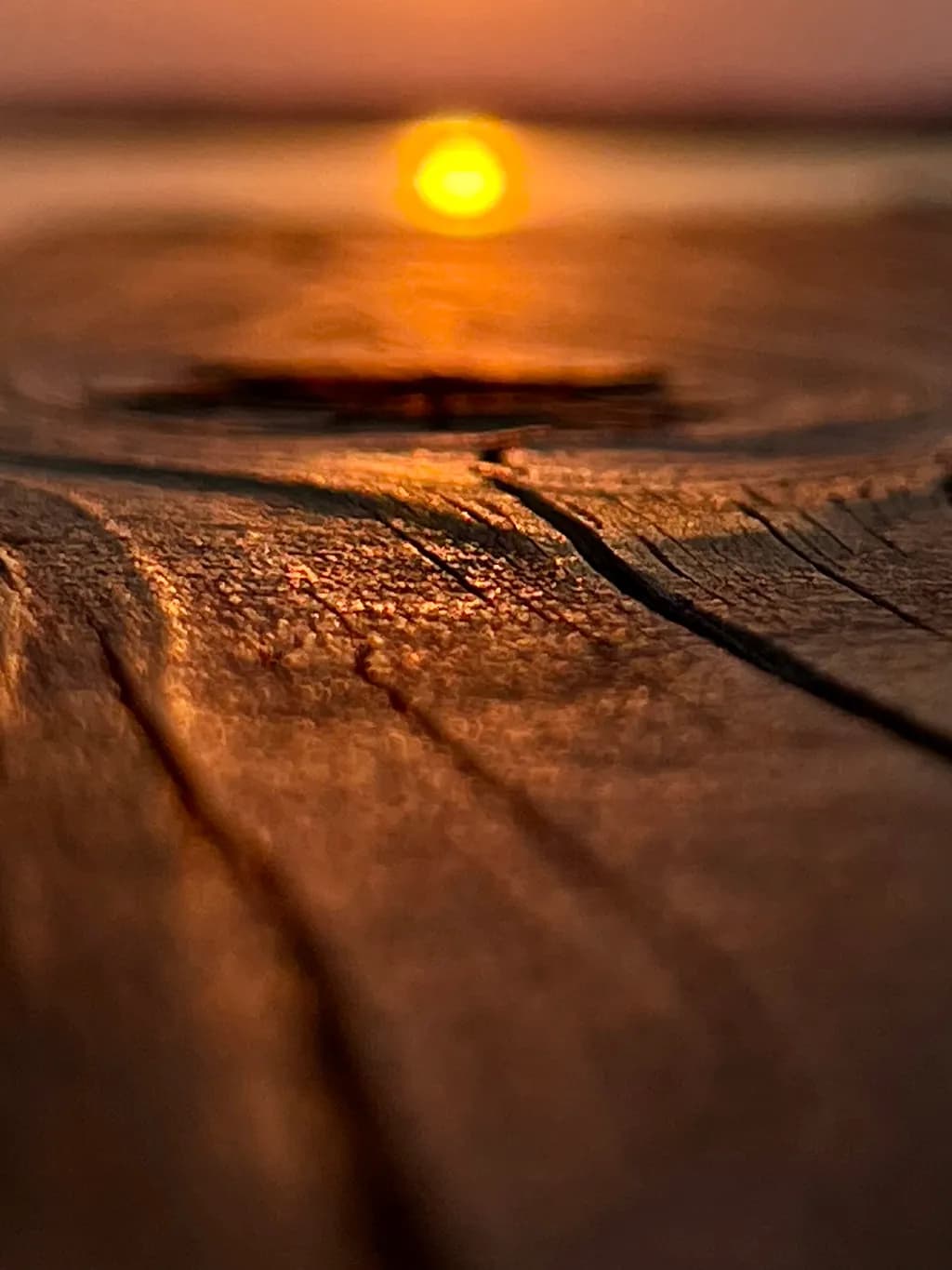 Golden Reflections: A Serene Sunset Over Weathered Wood