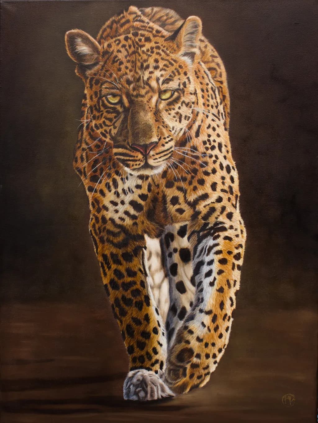 Leopard Stalks