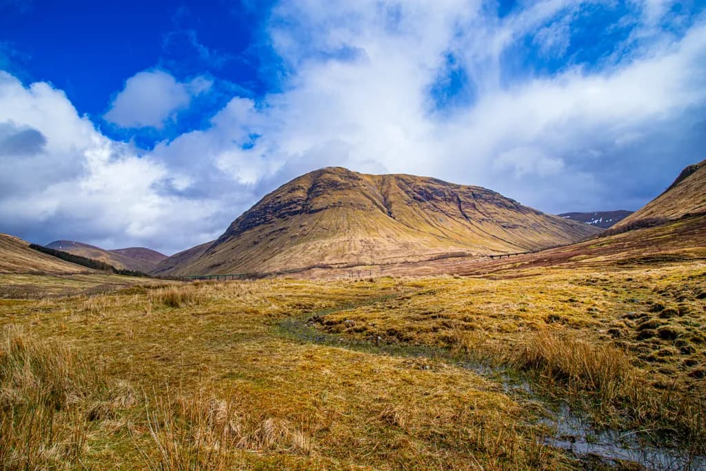 Mountain Meadow Vista