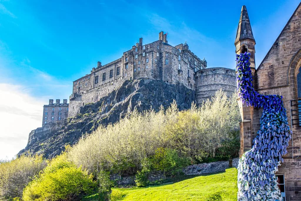 Castle Bloom Cascade