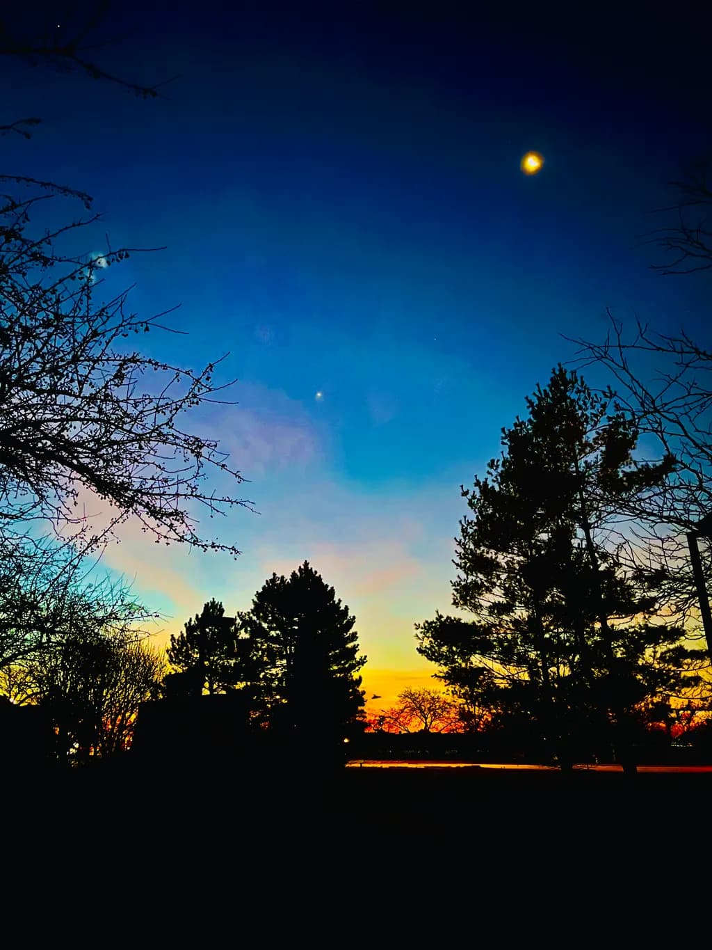 Whispers of twilight