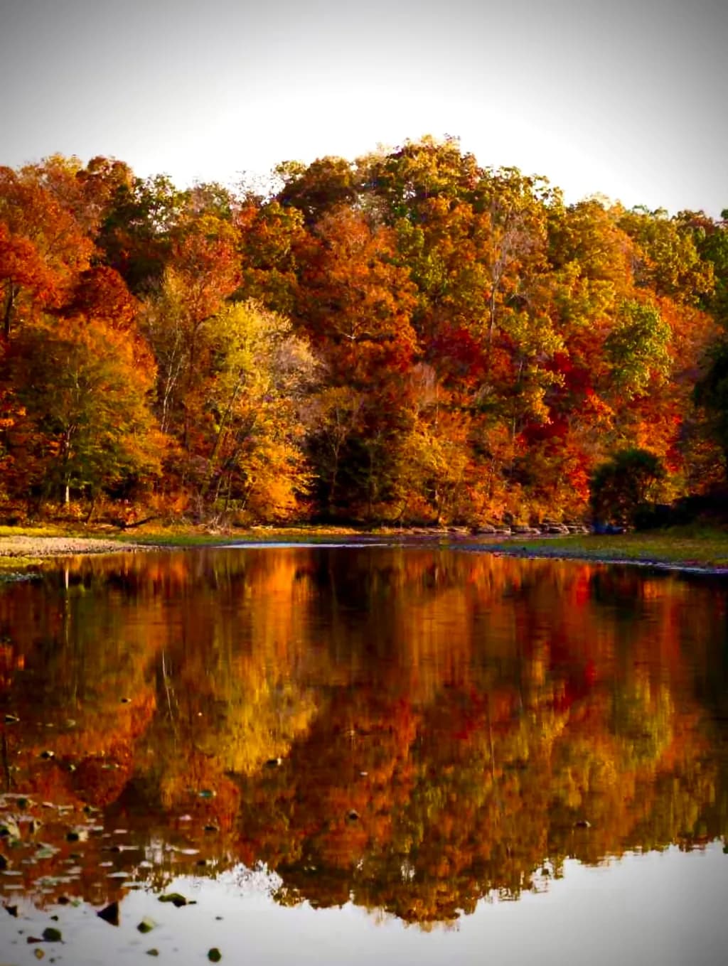 Autumn’s pallette