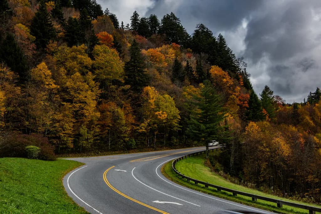 Forest Road Curve