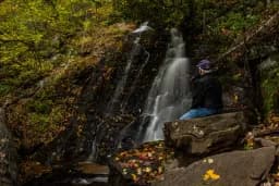 Autumn Waterfall Watcher