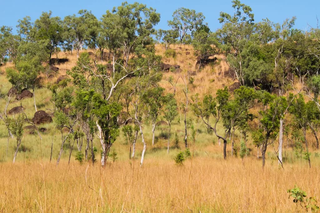 Kimberley Landscape