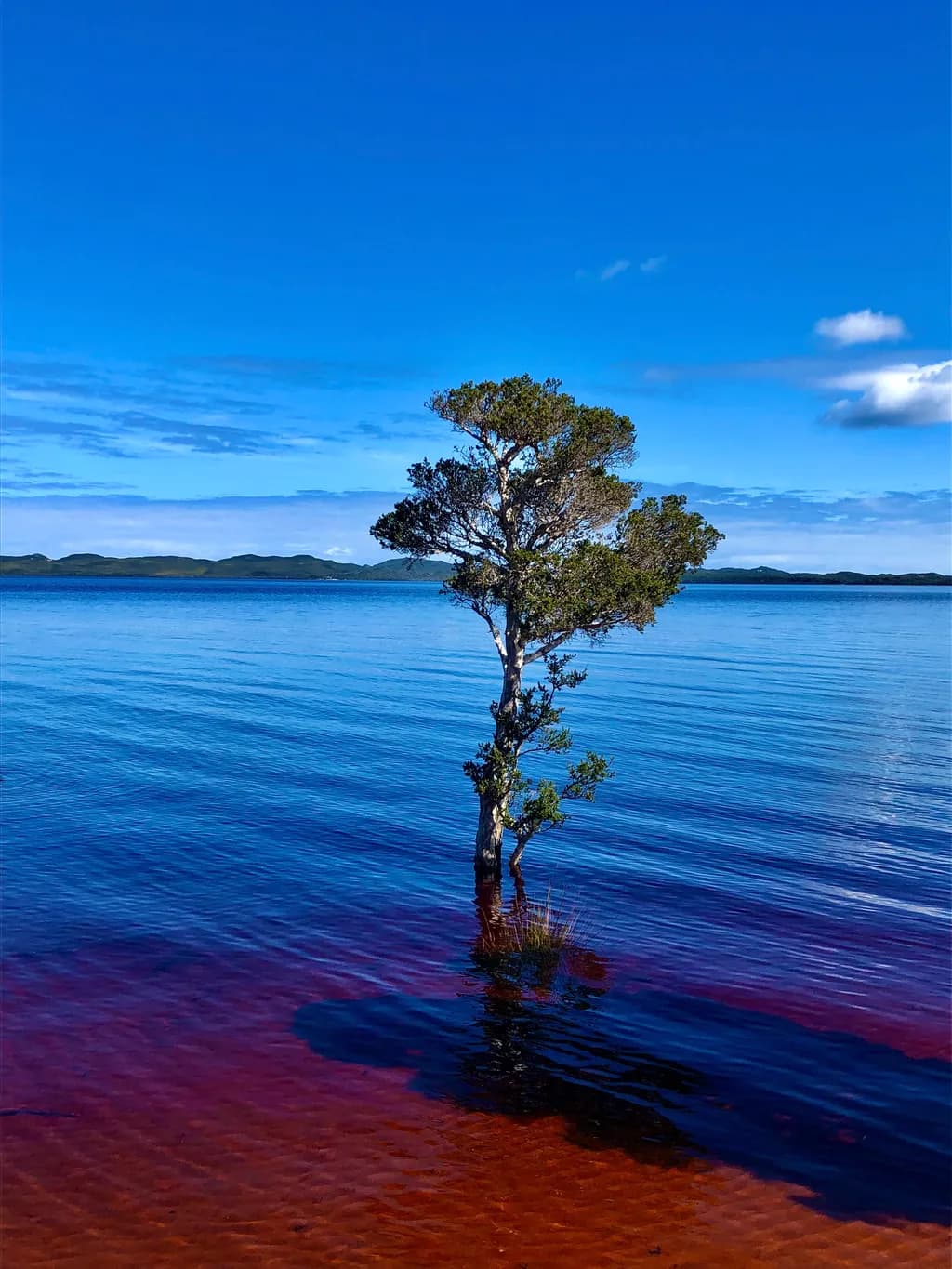Red Earth Reflections