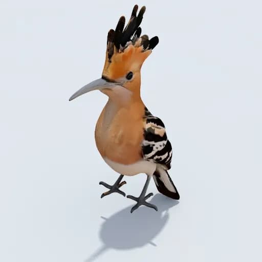 Vibrant Elegance: The Majestic Hoopoe in Nature's Palette