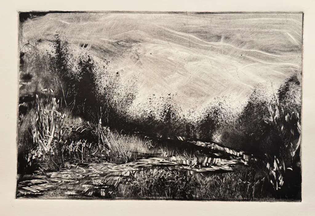 Whispers of Nature: A Monochrome Journey Through Landscape Serenity
