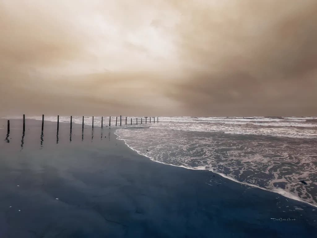 The Sea is Calling