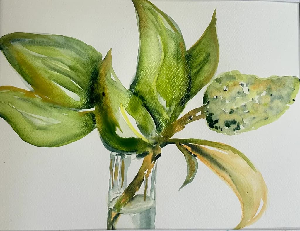 Green Branch Study